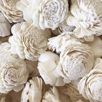  Real vs Fake Flowers - 3