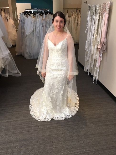 The dress! 