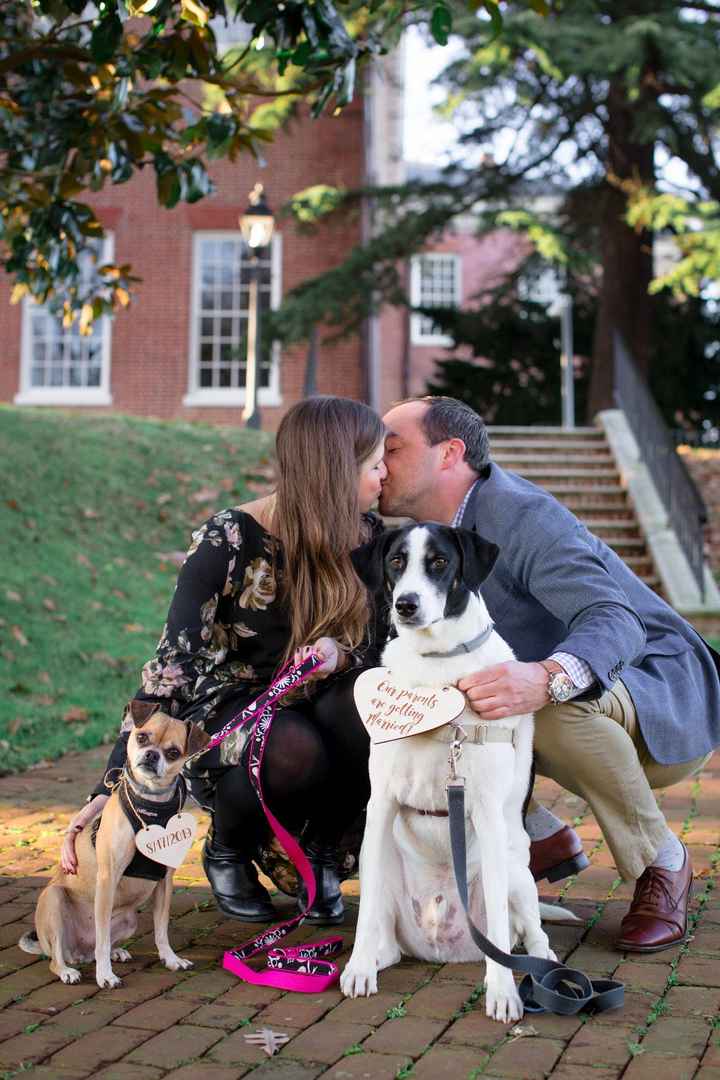 We love our doggos :)