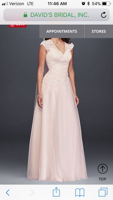 Wedding Dress Surprises??? - 1