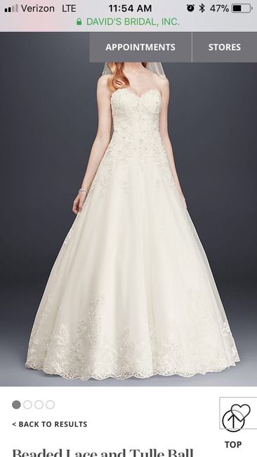 Wedding Dress Surprises??? - 2
