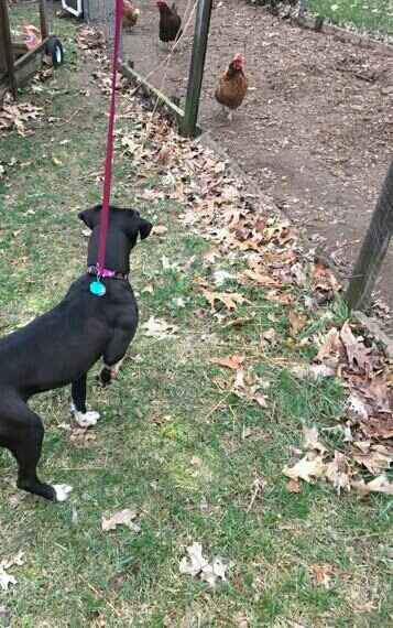 Loving the outdoors