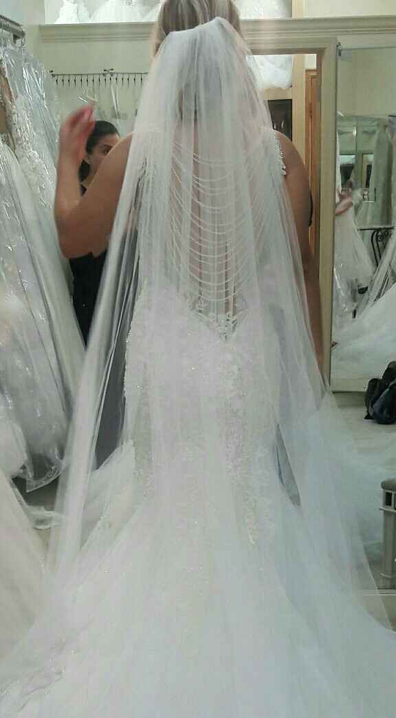 Wedding veil?