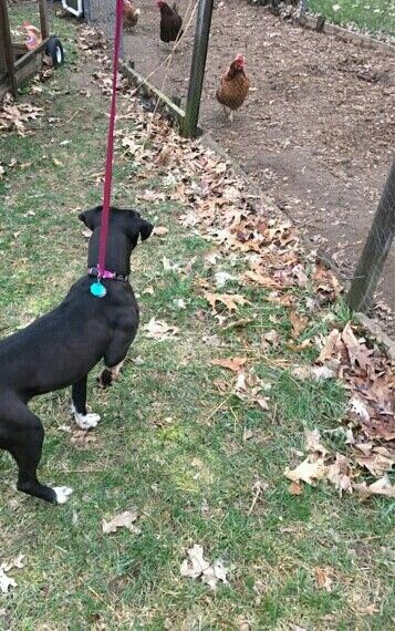 Loving the outdoors