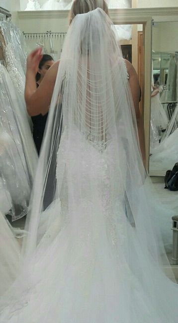 Wedding veil?