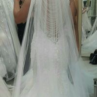 Wedding veil?