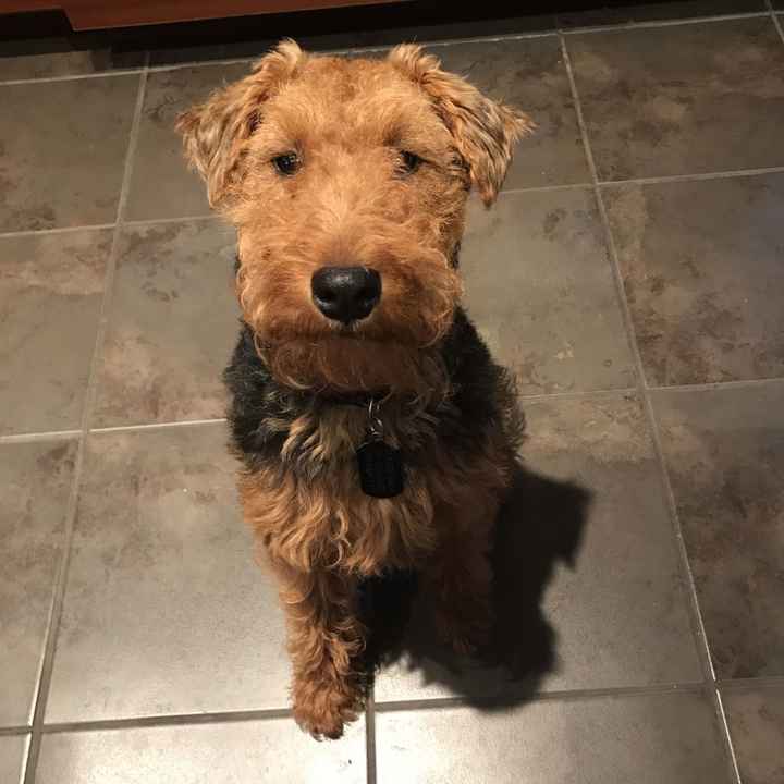 Just need to vent and cry a little