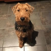 Just need to vent and cry a little