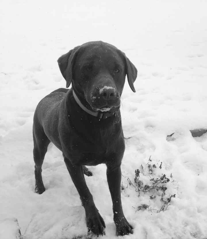 Holy Balls. Late Intro.