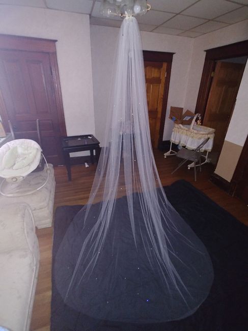Veils are too expensive 1