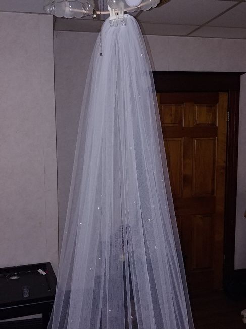 Veils are too expensive 2