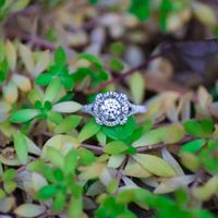 Favorite Ring Detail - 2