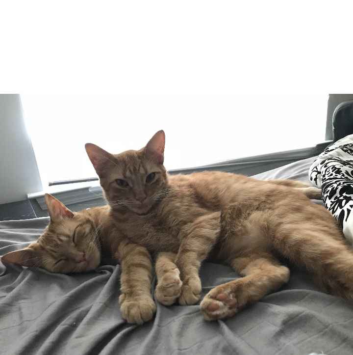 We started our family this weekend. - 1