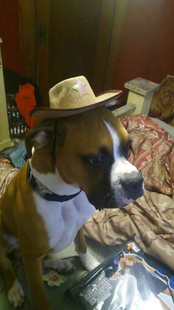 NWR Show us your Halloween Pets!