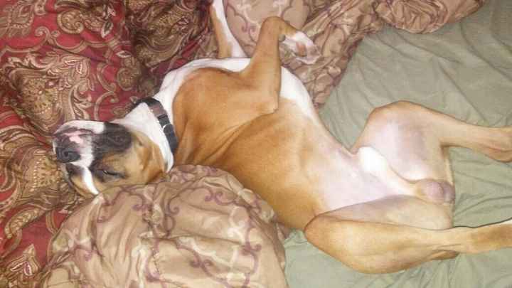 Opinions needed - TABLETOP - pic heavy