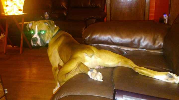 NWR: Show me your pups!