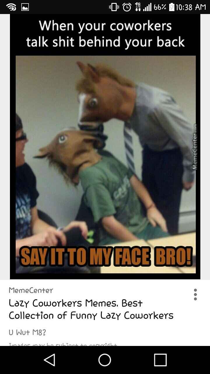 NWR: Memes for my sanity