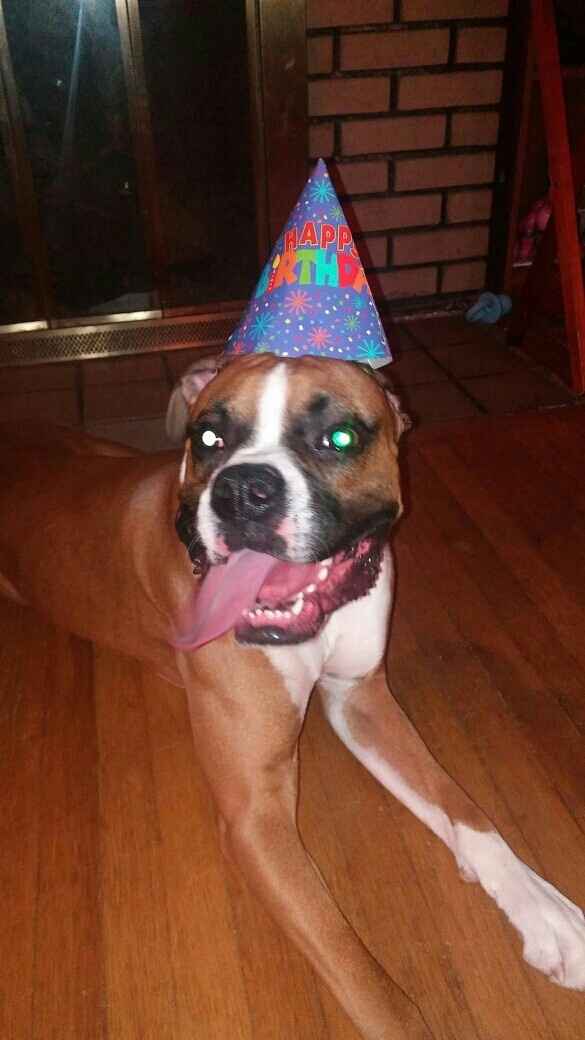 KWR: Who else missed their pets?