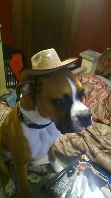 NWR Show us your Halloween Pets!