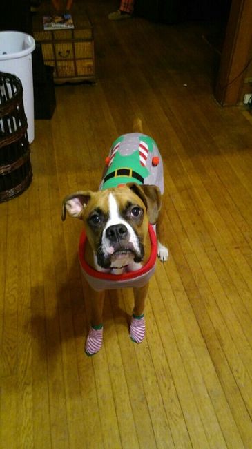 NWR: Puppy Friday!!