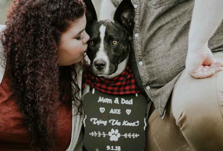 I was really nervous about our engagement photos looking bad because I'm Plus size!