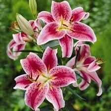 Bouquet question....
