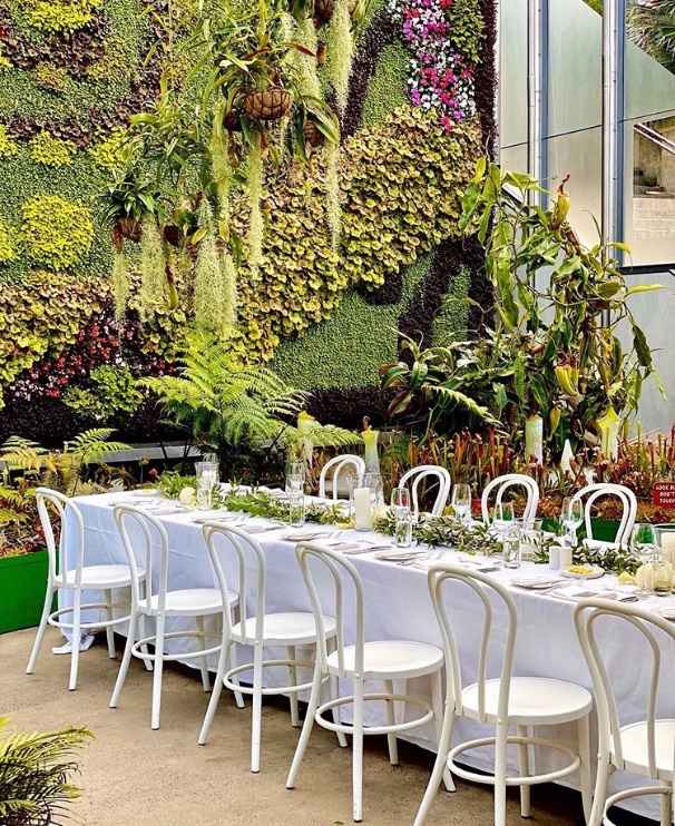 Brown Bentwoods + Gold Candelabra? 4