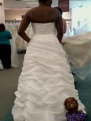 I can't pick my dress!!!  Pics Pics Pics