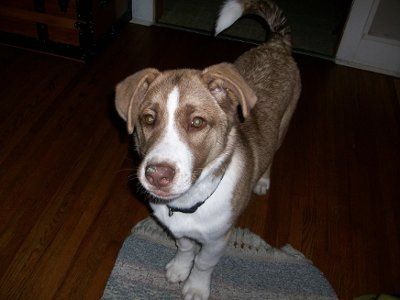 PR: Update on Capone