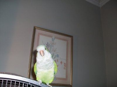 Soo.... whacha doin?