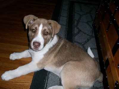PR: Please say a prayer for STB Mrs. B's family. :(