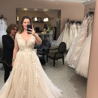 Should I say yes to this dress? 