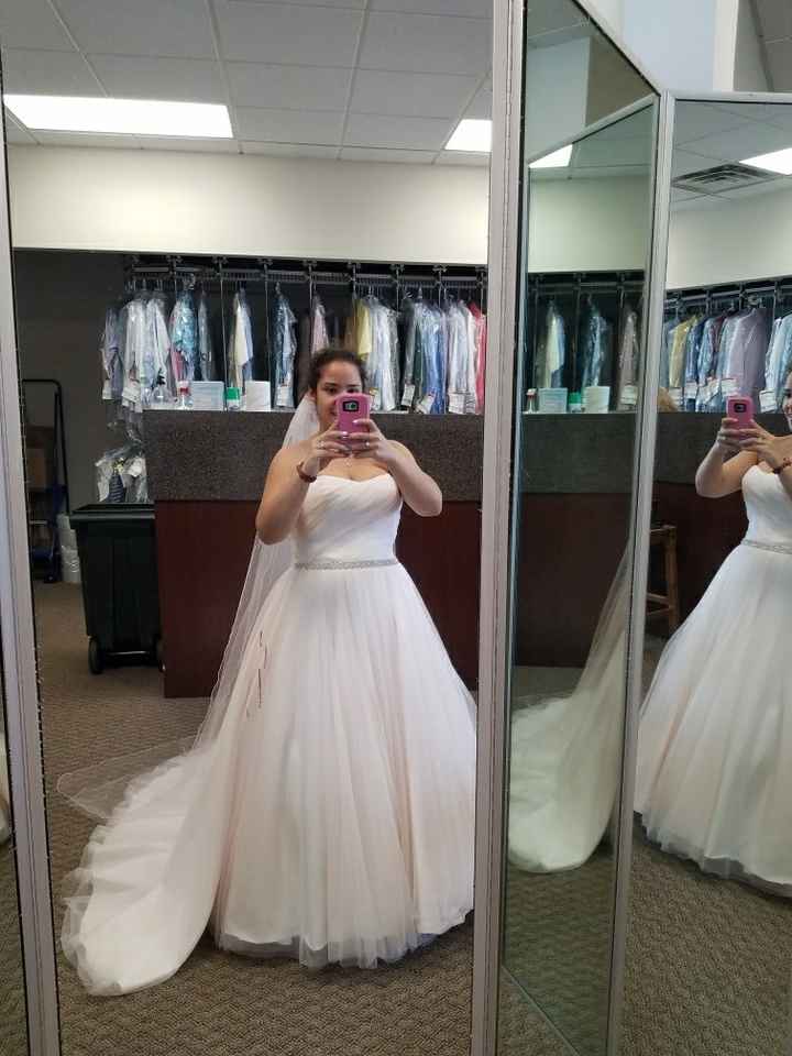 Picked up my dress for saturday! - 1