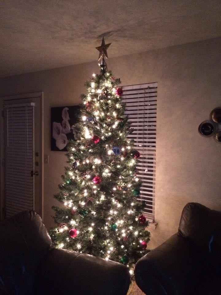 nwr: our tree is up!