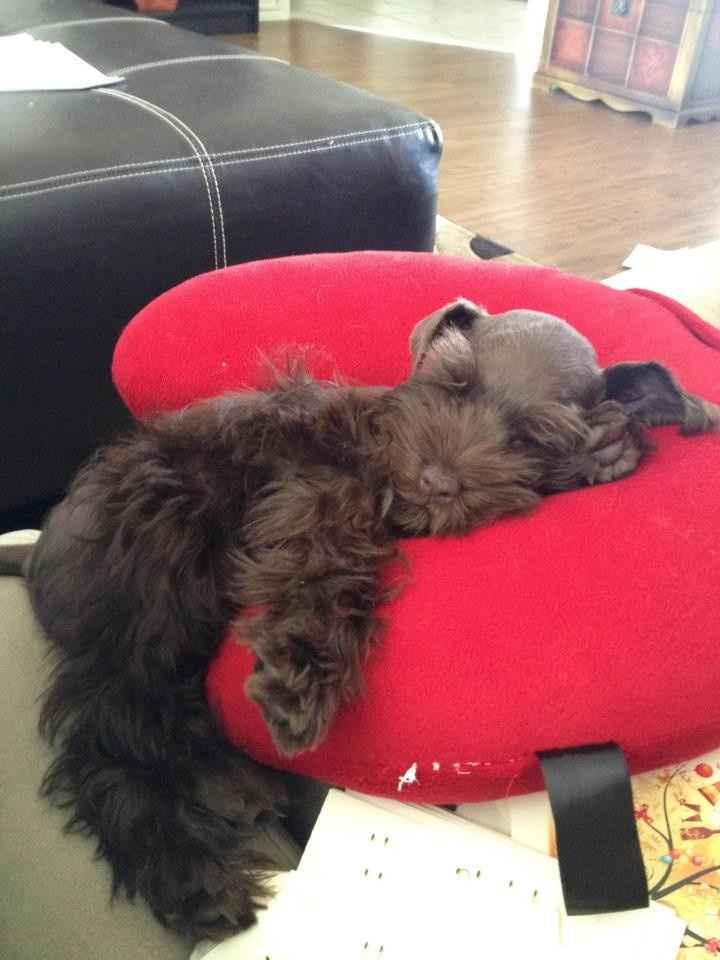 Omg I love Honeyfund!