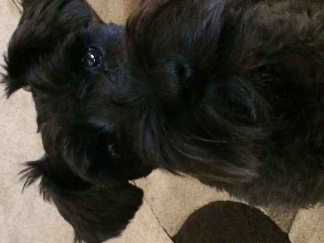 NWR:  It's Feline Friday...