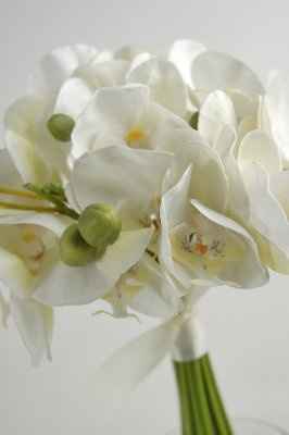 Ladies... SHOW me your FLOWERS (or floral inspiration!!!)