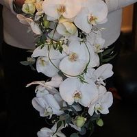 I am so happy and excited right now!!