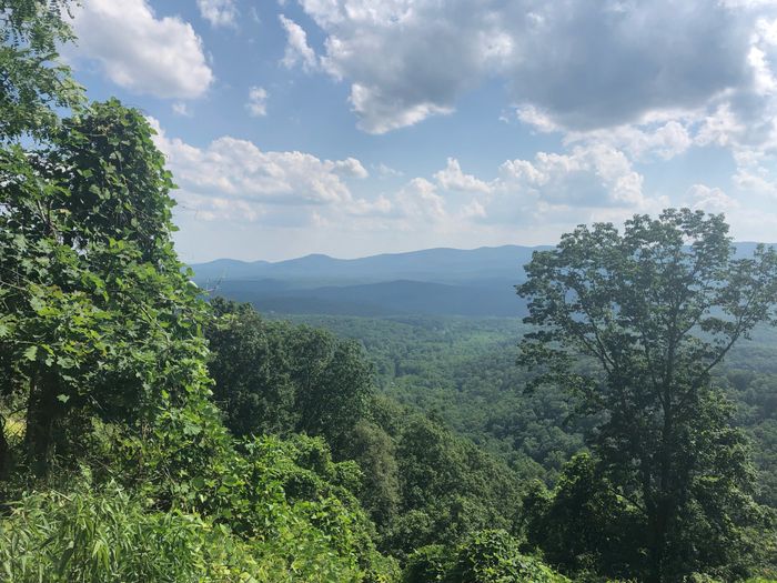 Bachelorette Party! 1