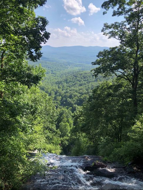 Bachelorette Party! 5