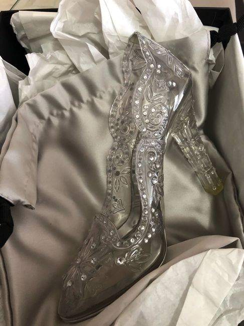 My weddings shoes came in! 1
