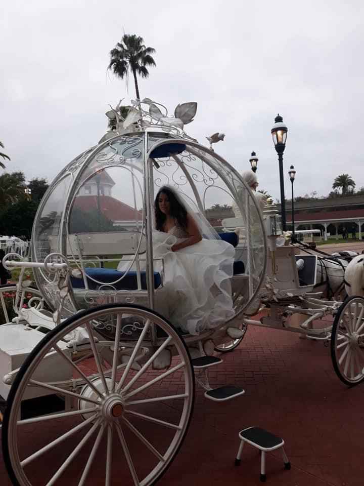 Non professional photos of the day - 4