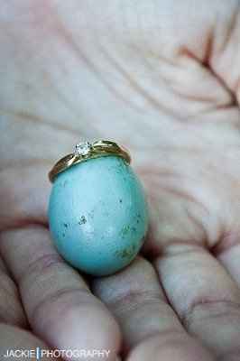 Favorite Engagement Pictures