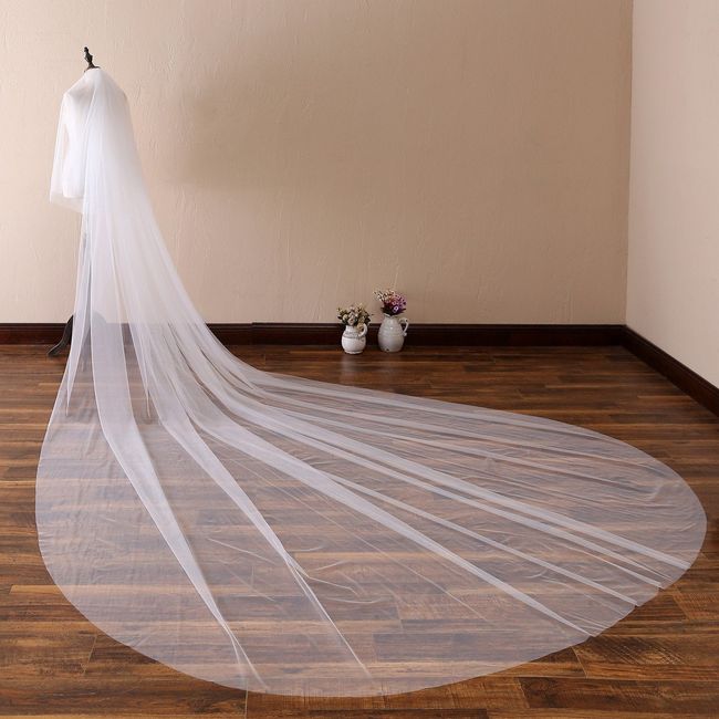 Lace veil matching lace on dress? - 1