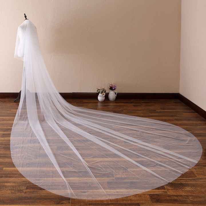 Lace veil matching lace on dress? - 1