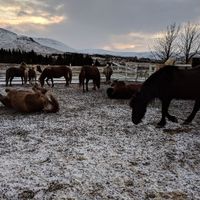Reykjavik, Iceland - 1