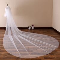 Lace veil matching lace on dress? - 1