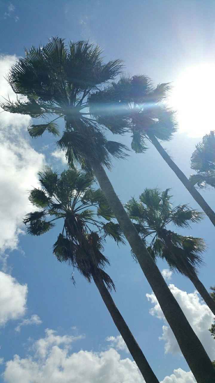 NWR- favorite aspect of your city