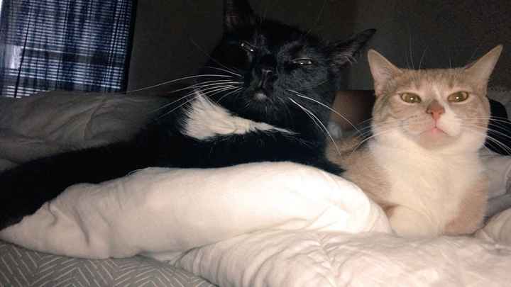 NWR: Worst. Day. Ever. Upate