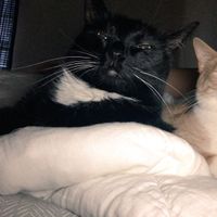 NWR: Worst. Day. Ever. Upate